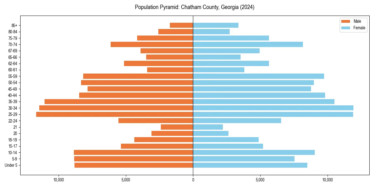 Population pyramid for 