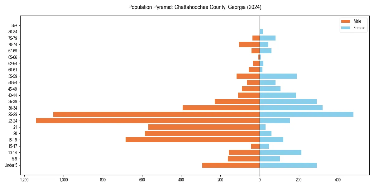 Population pyramid for 