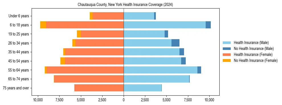 Health insurance pyramid for Chautauqua County, New York