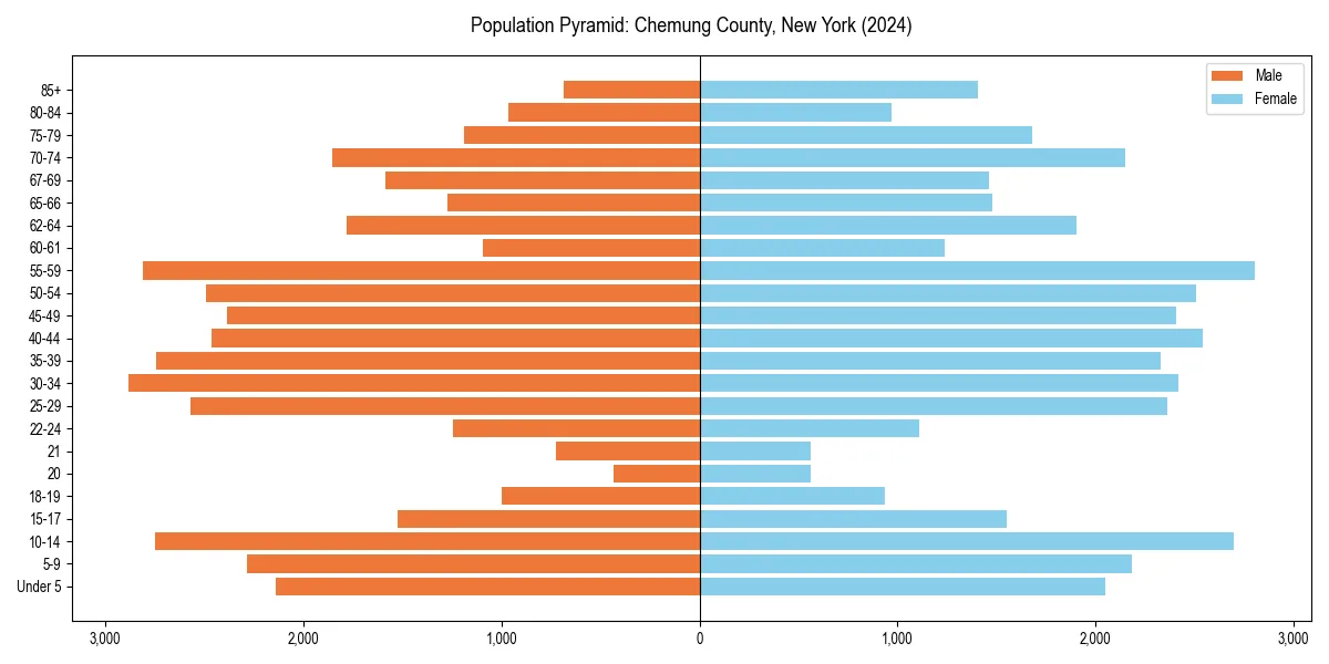 Population pyramid for 