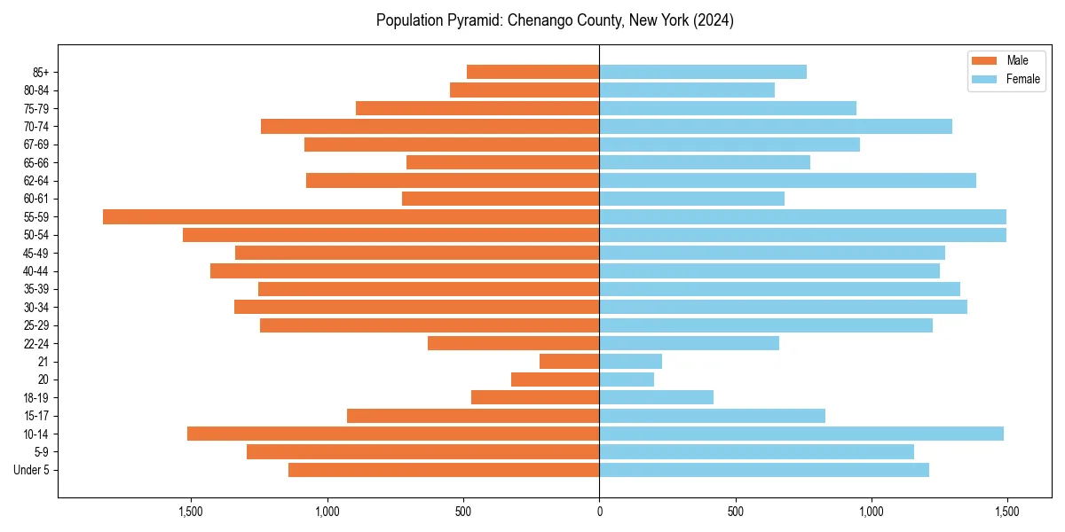 Population pyramid for 