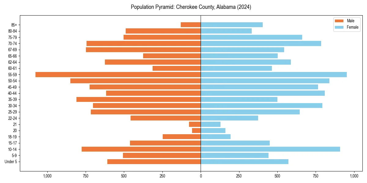 Population pyramid for 