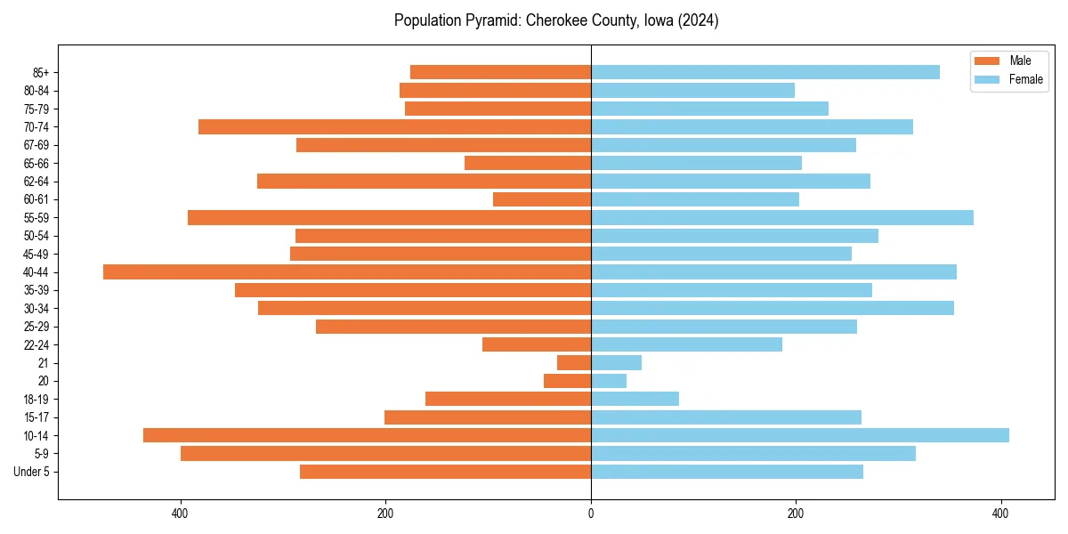 Population pyramid for 