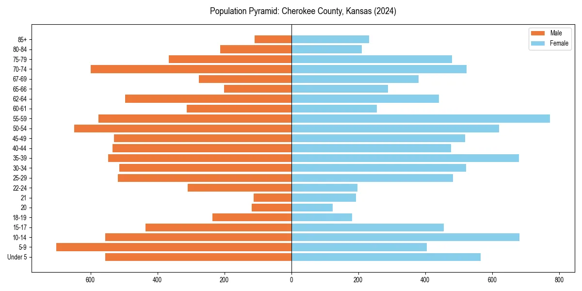 Population pyramid for 