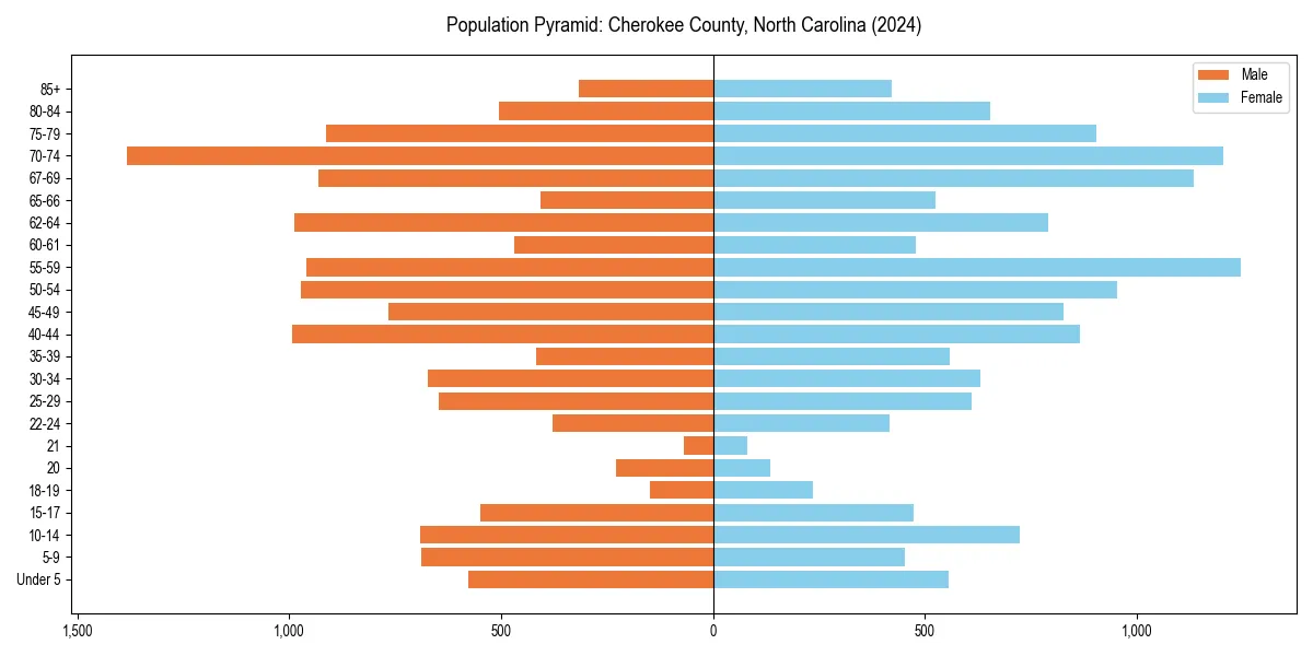 Population pyramid for 