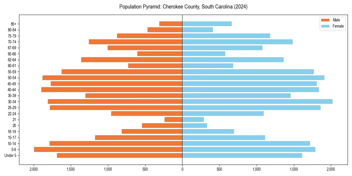 Population pyramid for 