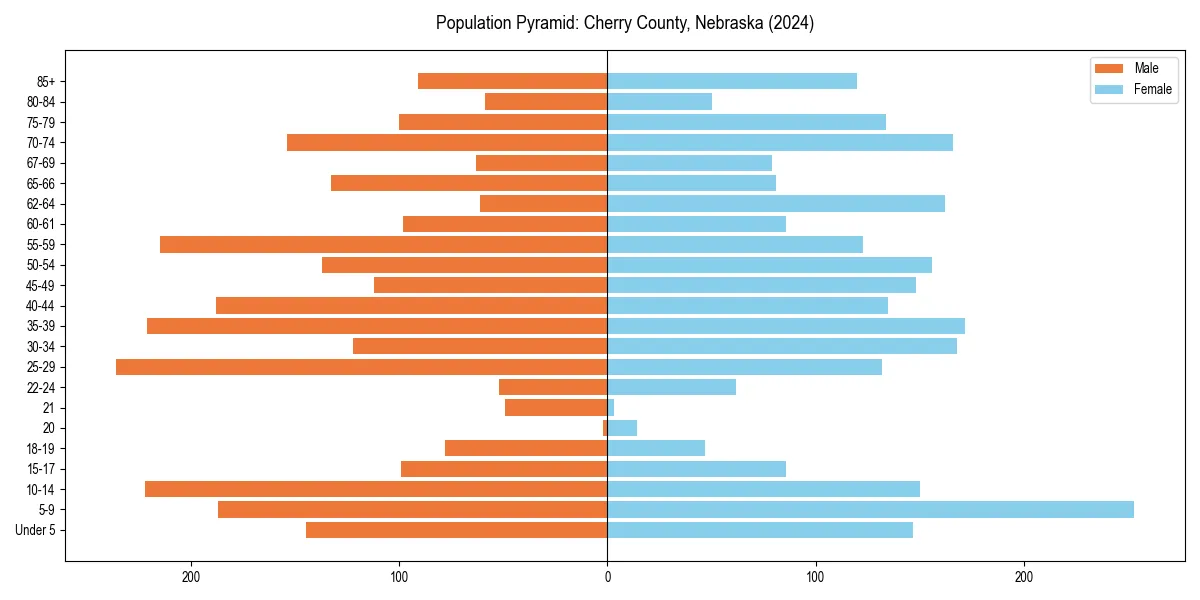 Population pyramid for 