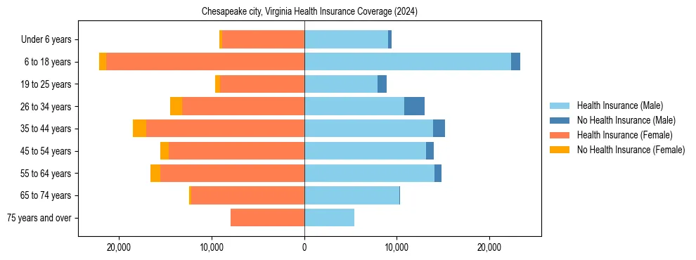 Health insurance pyramid for Chesapeake city, Virginia