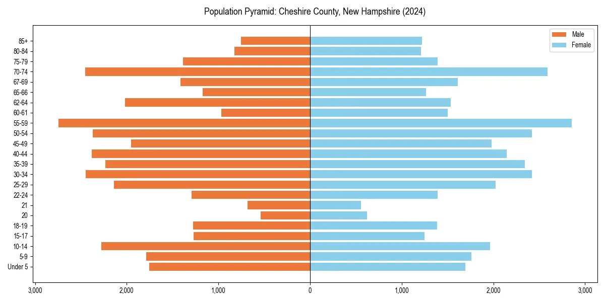 Population pyramid for 
