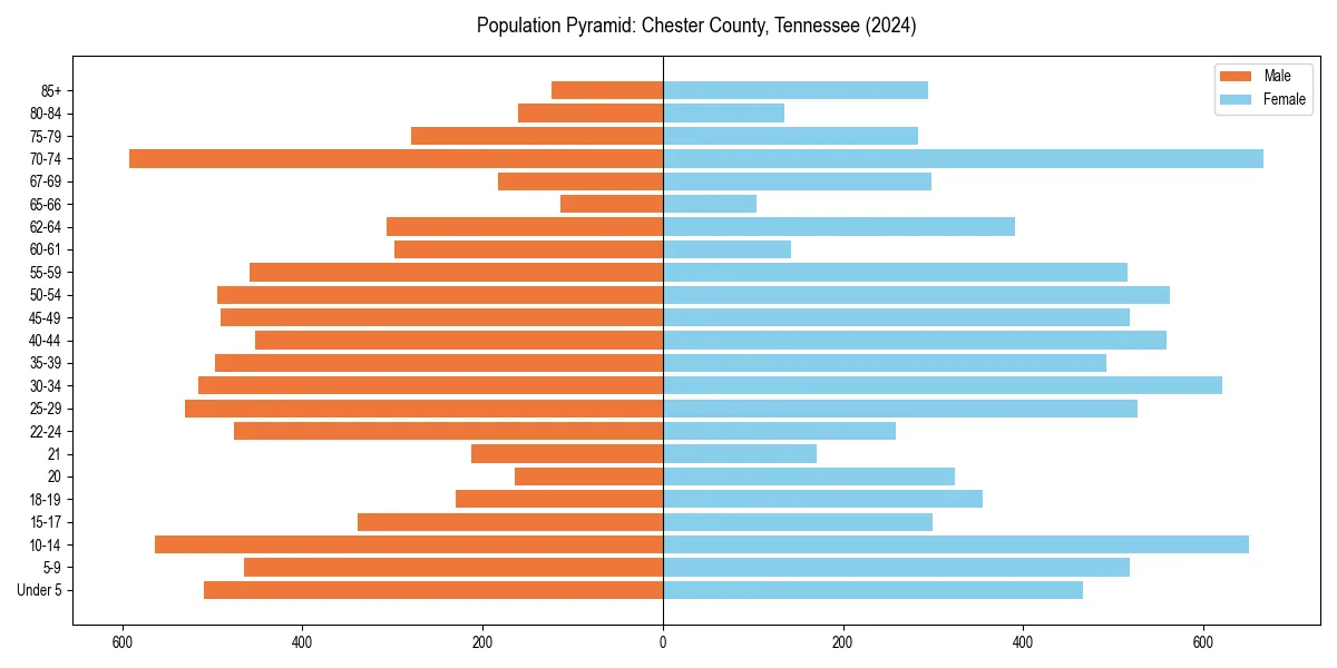 Population pyramid for 