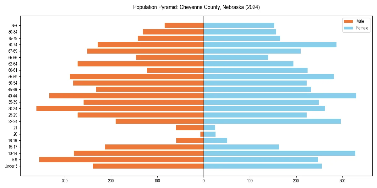 Population pyramid for 