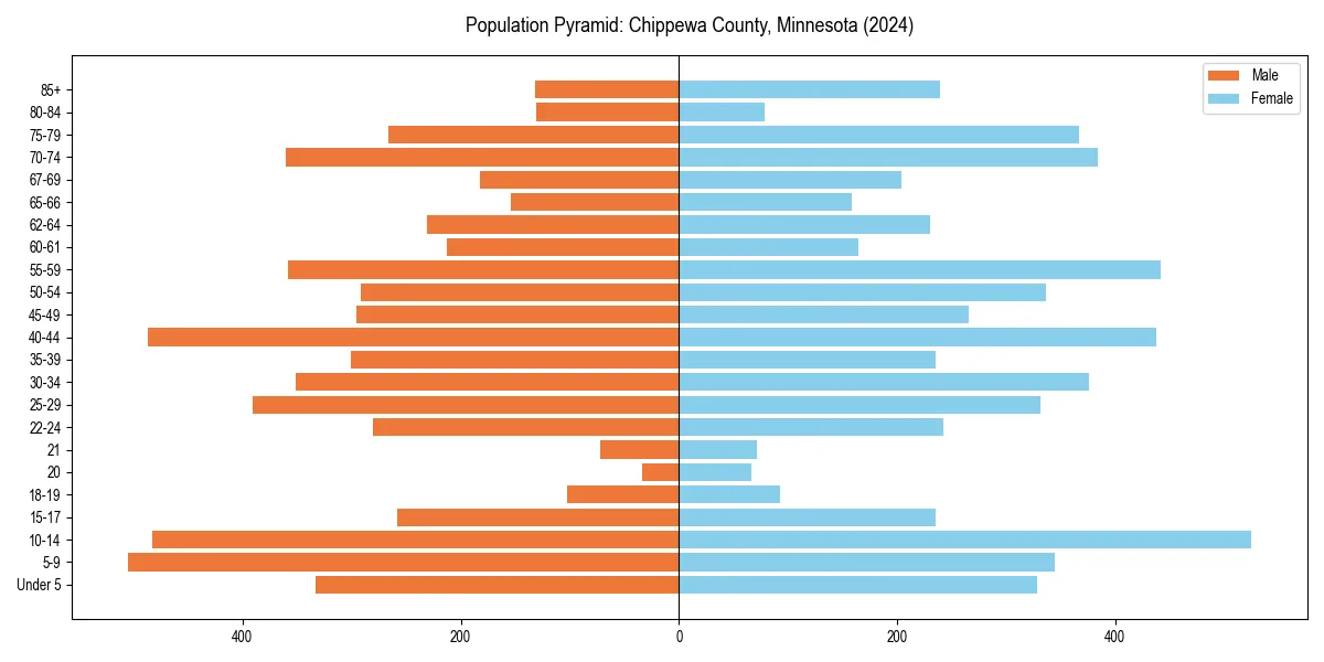 Population pyramid for 