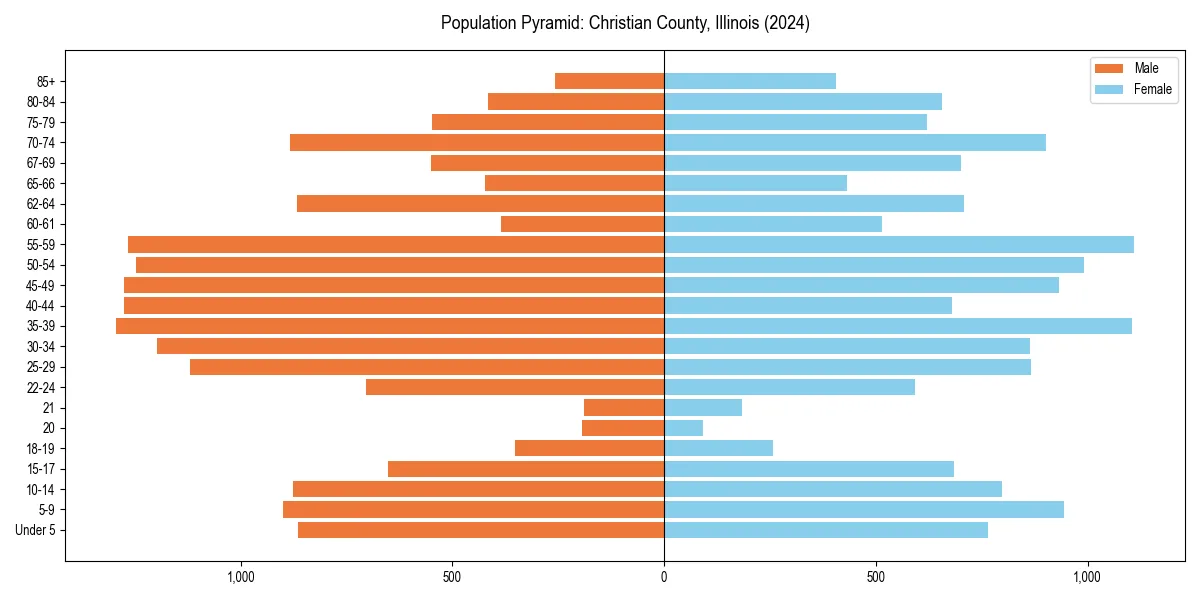 Population pyramid for 