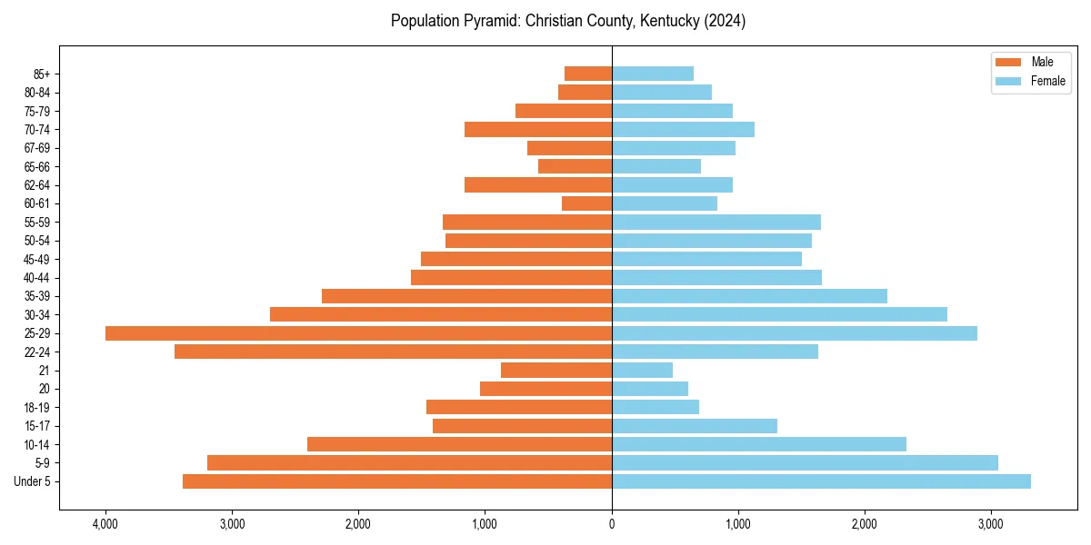 Population pyramid for 