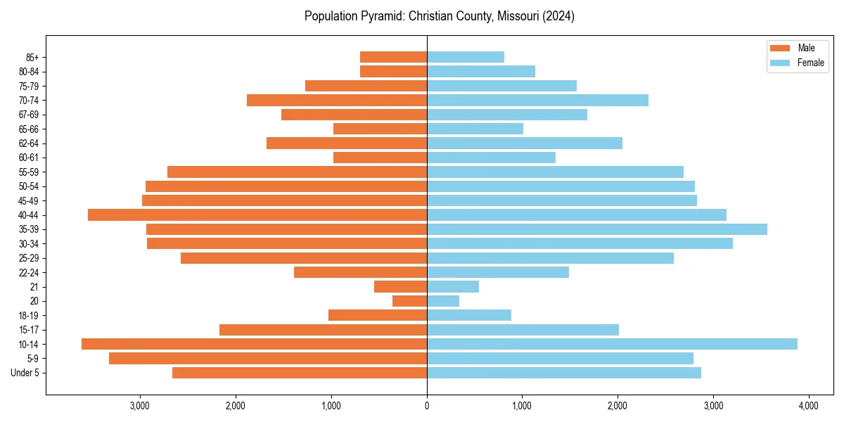 Population pyramid for 