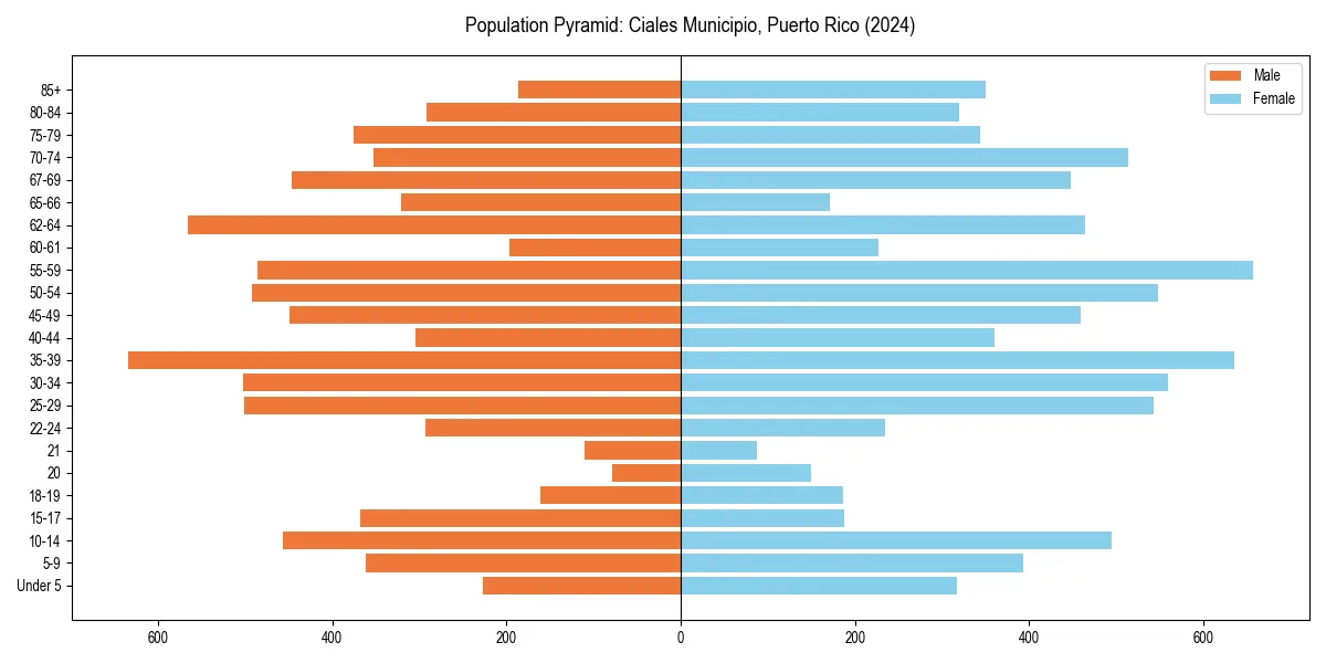 Population pyramid for 