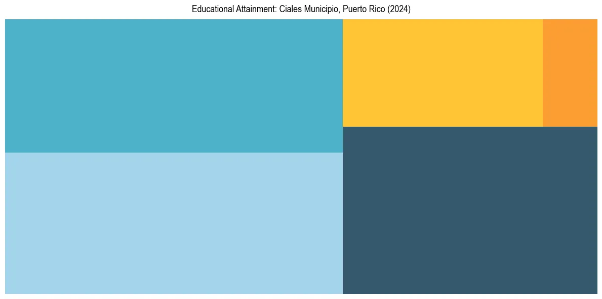 Education Treemap for  in 2024