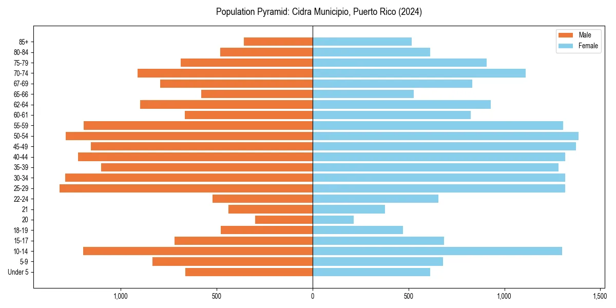 Population pyramid for 