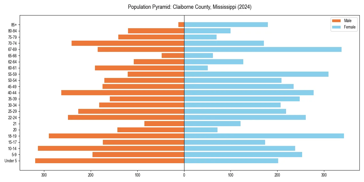 Population pyramid for 