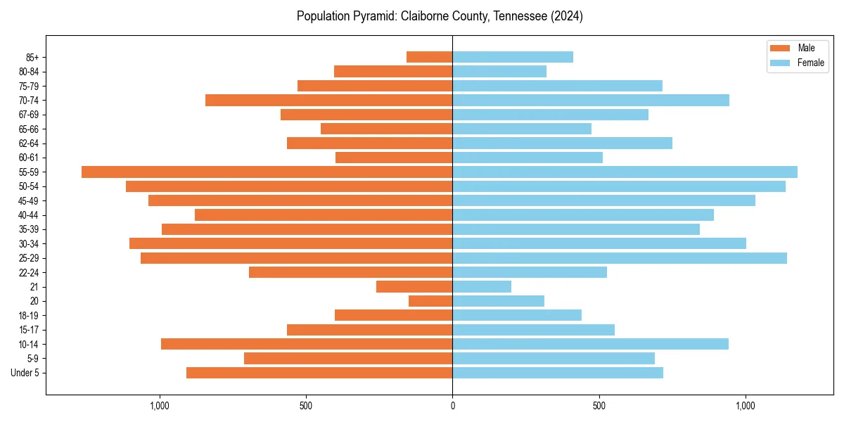Population pyramid for 
