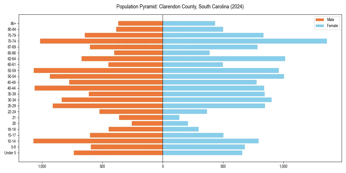 Population pyramid for 