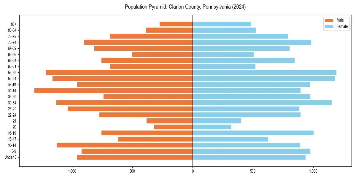 Population pyramid for 