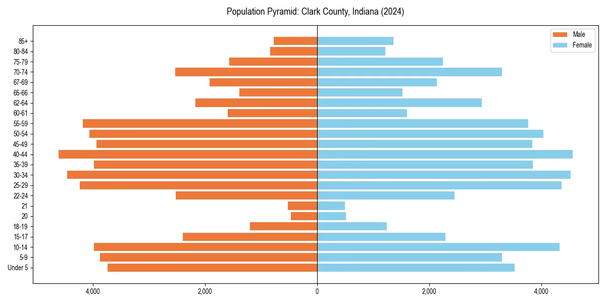 Population pyramid for 