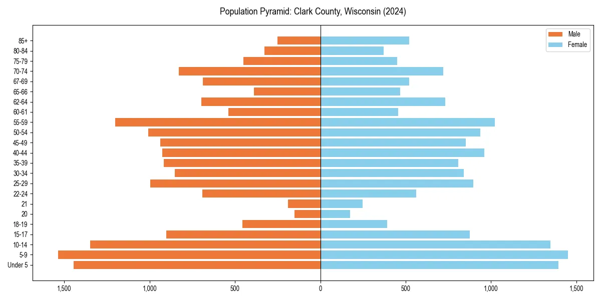 Population pyramid for 