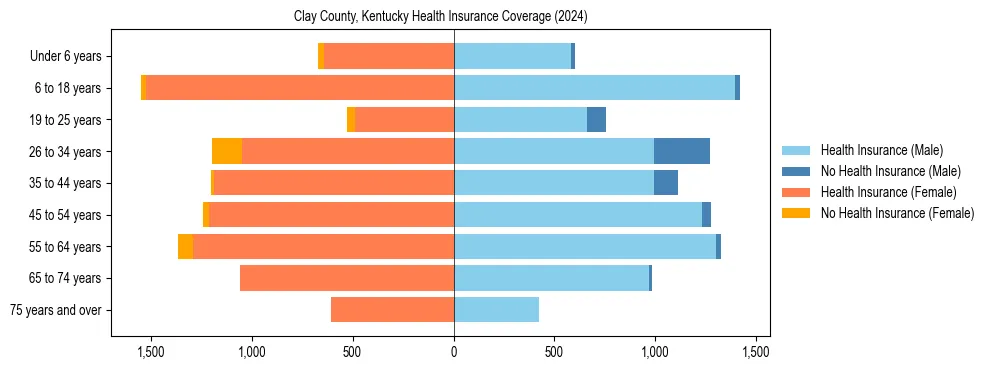 Health insurance pyramid for Clay County, Kentucky