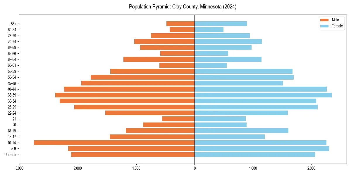 Population pyramid for 