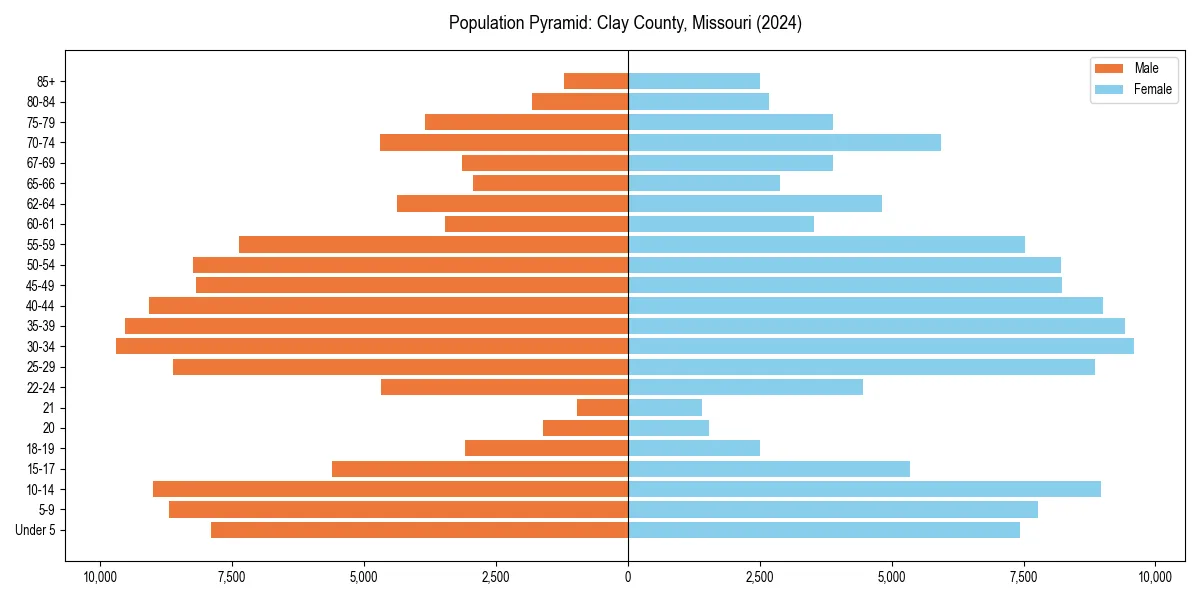 Population pyramid for 