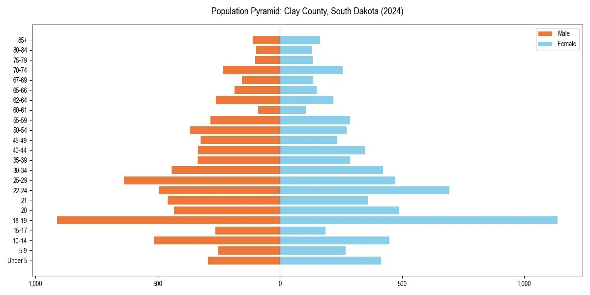 Population pyramid for 