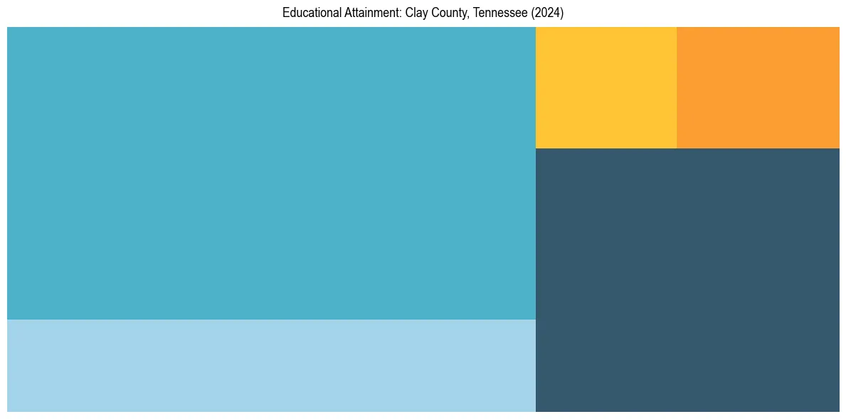 Education Treemap for  in 2024