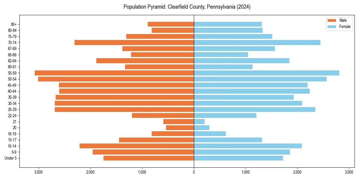 Population pyramid for 