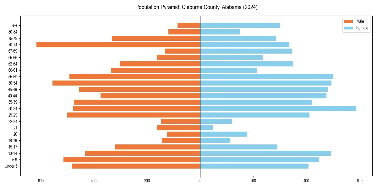 Population pyramid for 