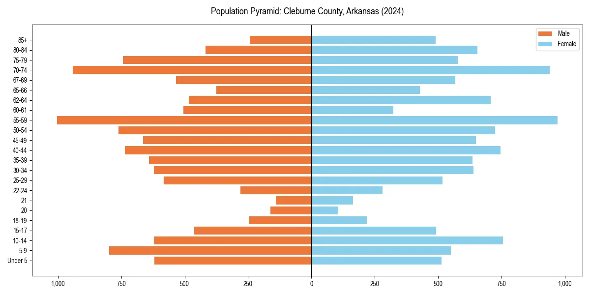 Population pyramid for 