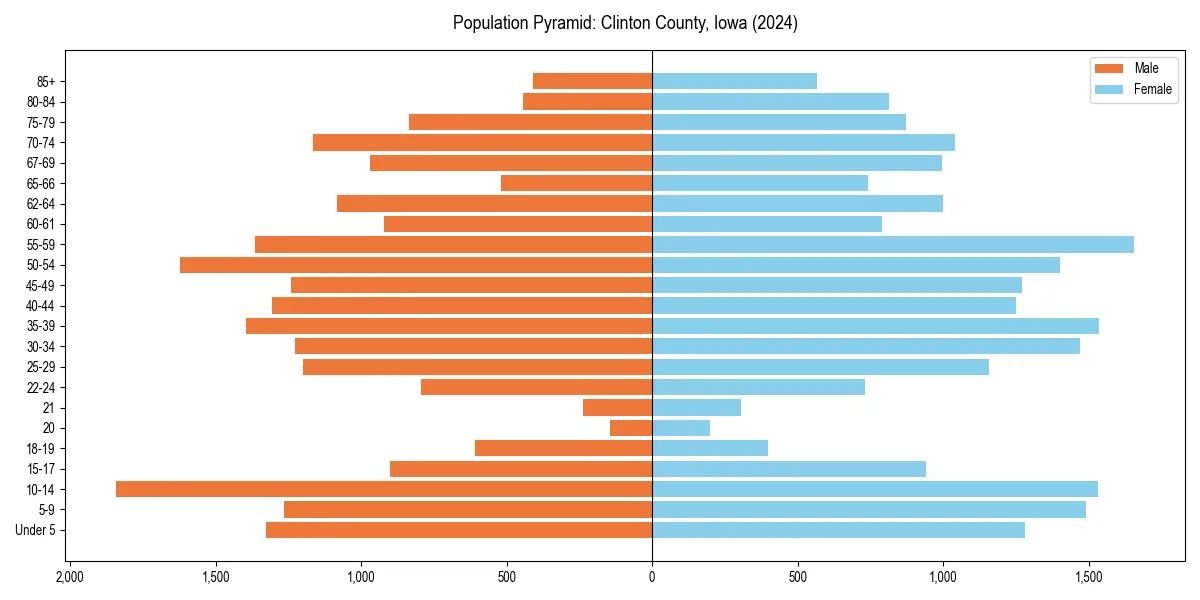 Population pyramid for 