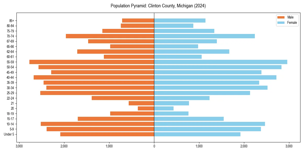 Population pyramid for 