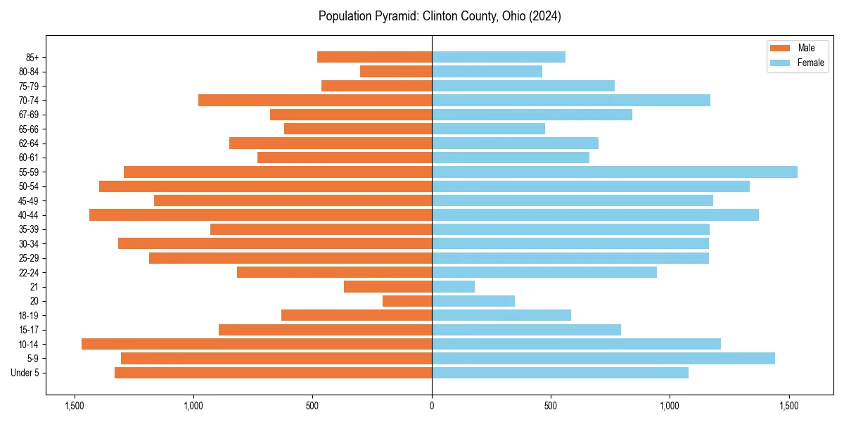 Population pyramid for 