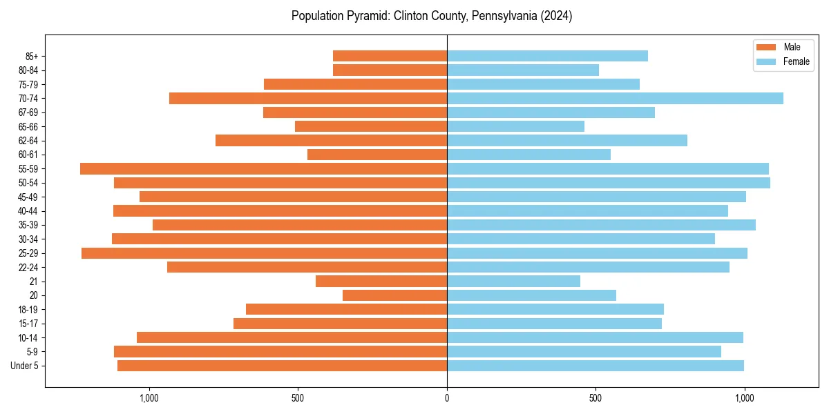 Population pyramid for 