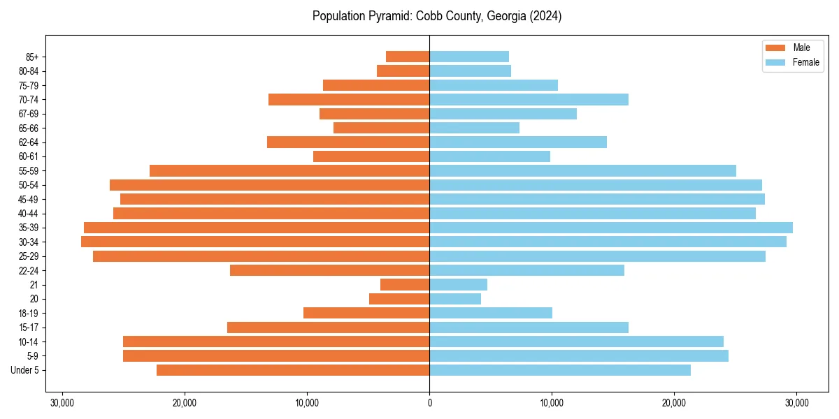 Population pyramid for 