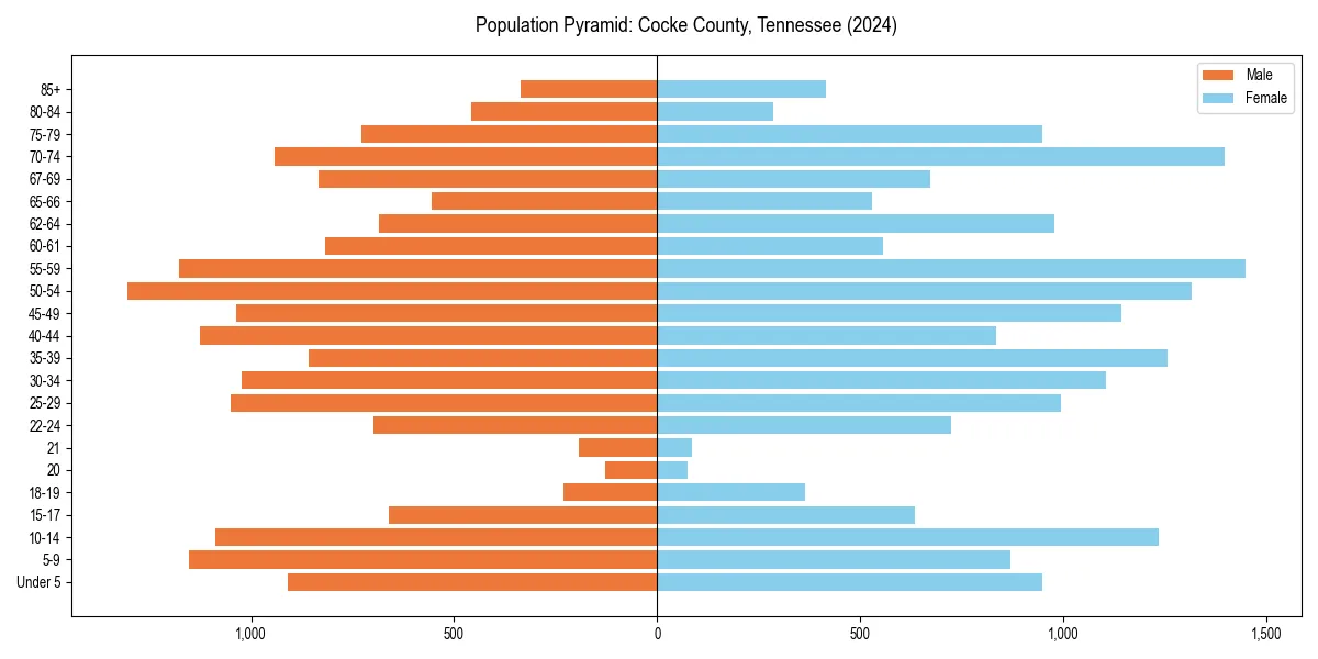 Population pyramid for 