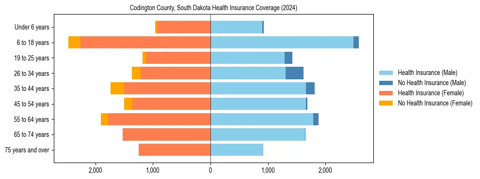 Health insurance pyramid for Codington County, South Dakota