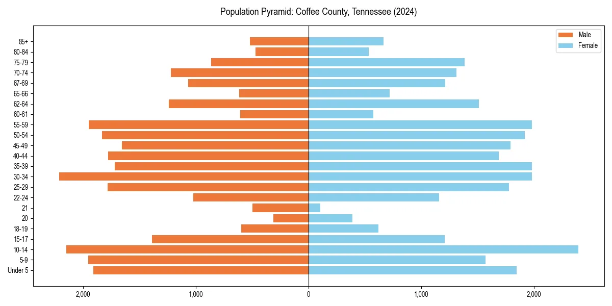 Population pyramid for 