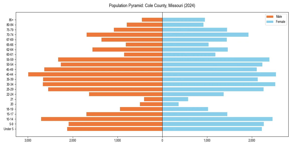 Population pyramid for 