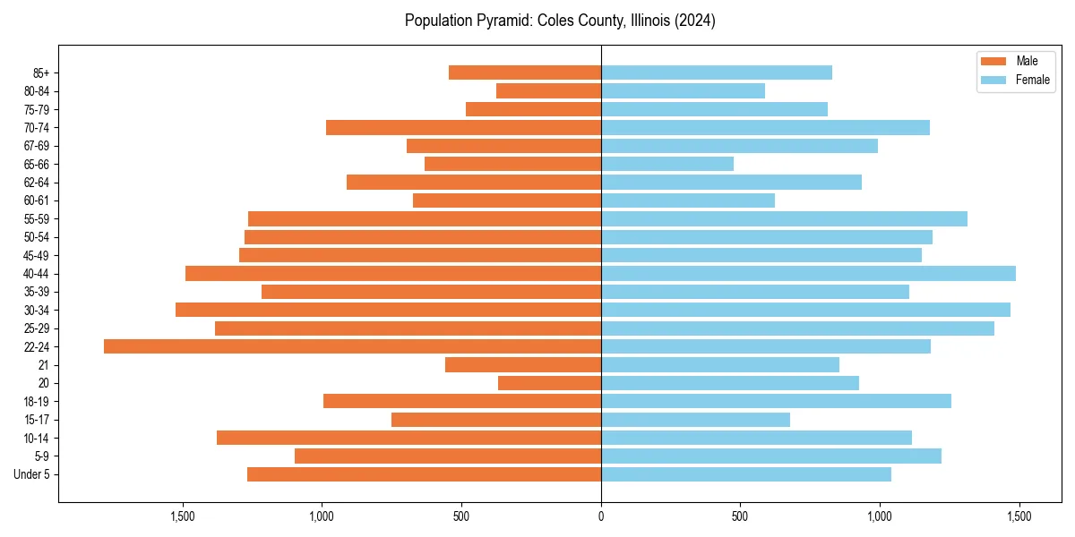 Population pyramid for 
