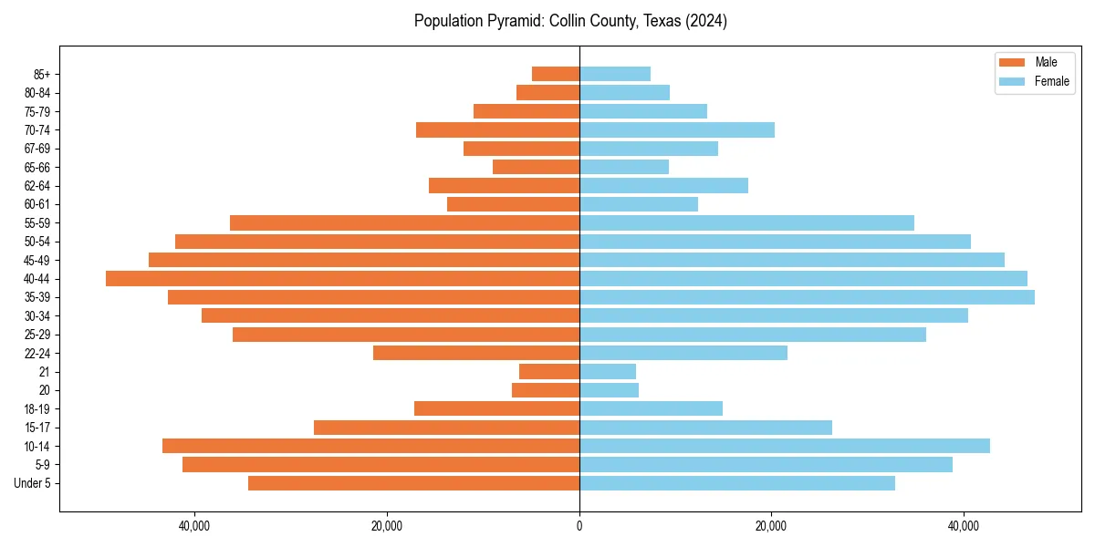 Population pyramid for 
