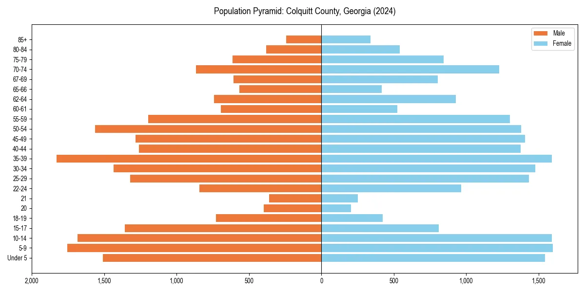 Population pyramid for 