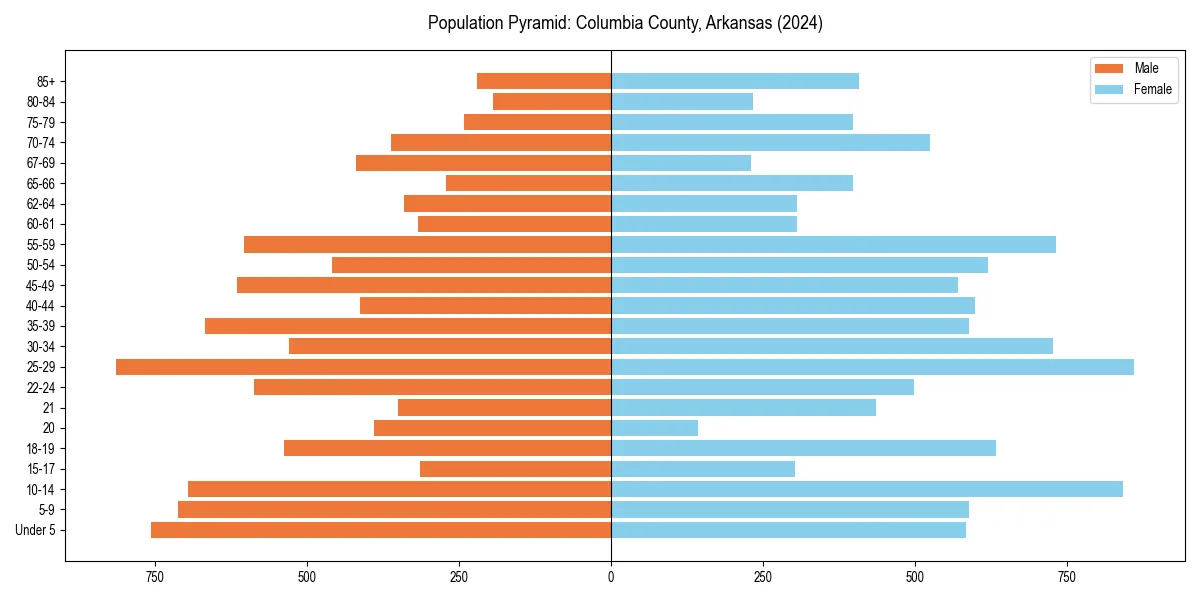 Population pyramid for 