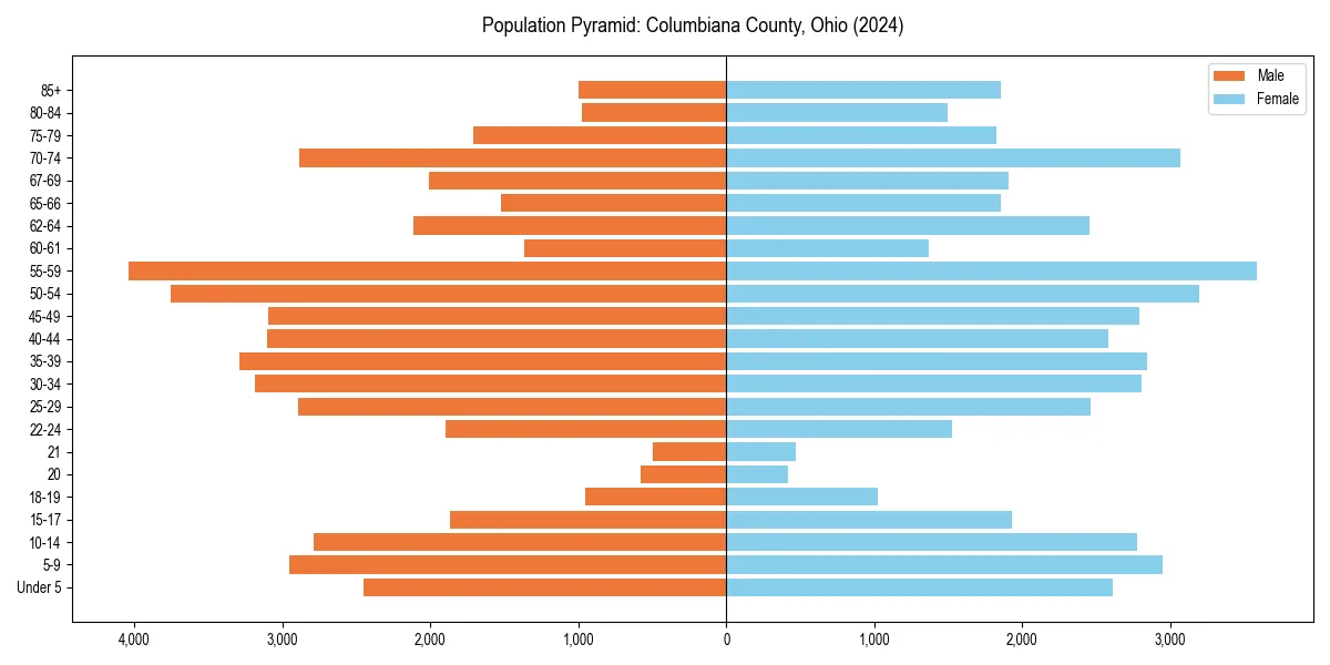 Population pyramid for 